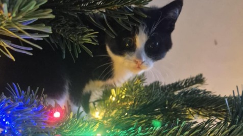 Zdjęcie aktualizacji 179 406