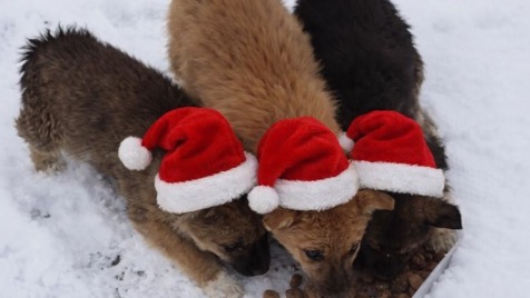 Zdjęcie aktualizacji 179 481