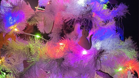 Zdjęcie aktualizacji 179 499