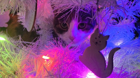 Zdjęcie aktualizacji 179 500