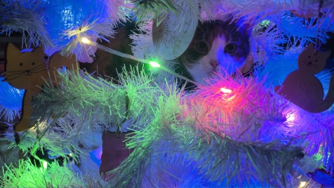 Zdjęcie aktualizacji 179 502