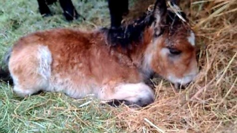 Zdjęcie aktualizacji 179 751