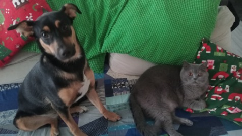 Zdjęcie aktualizacji 180 029