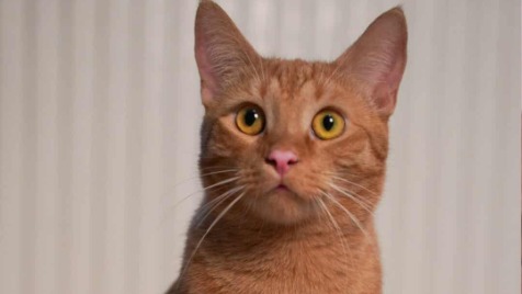 Zdjęcie aktualizacji 180 063