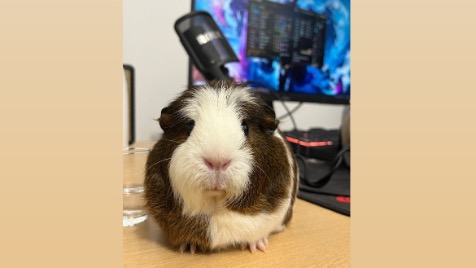 Zdjęcie aktualizacji 180 134