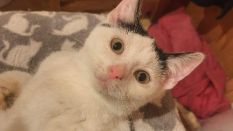 Zdjęcie aktualizacji 180 193