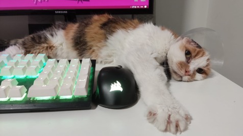 Zdjęcie aktualizacji 180 194