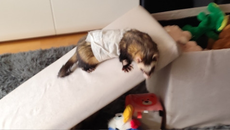 Zdjęcie aktualizacji 180 195