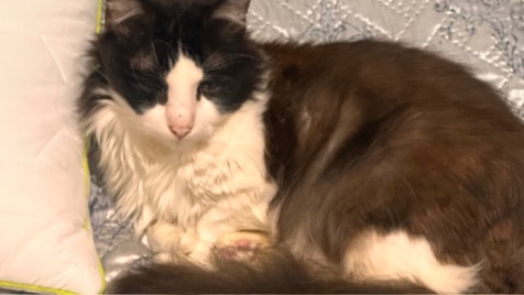 Zdjęcie aktualizacji 180 205