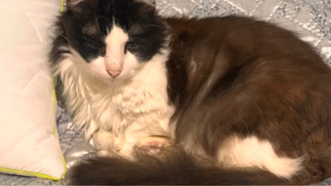 Zdjęcie aktualizacji 180 206