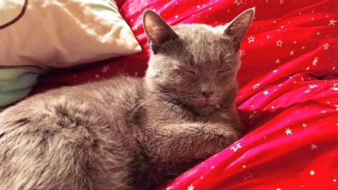 Zdjęcie aktualizacji 180 291