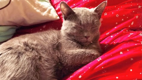 Zdjęcie aktualizacji 180 292