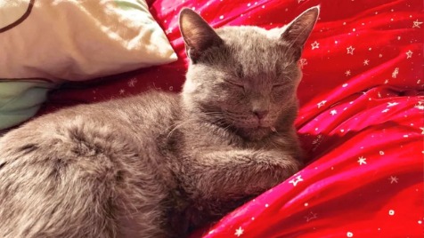 Zdjęcie aktualizacji 180 293