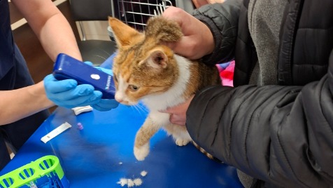 Zdjęcie aktualizacji 180 323