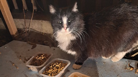 Zdjęcie aktualizacji 180 340