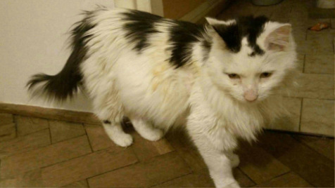 Zdjęcie aktualizacji 180 341