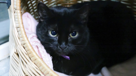 Zdjęcie aktualizacji 180 343