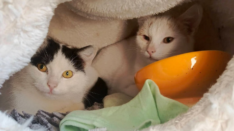 Zdjęcie aktualizacji 180 344