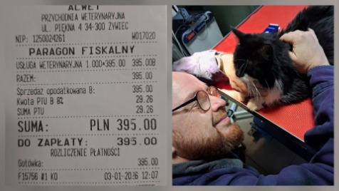 Zdjęcie aktualizacji 180 381