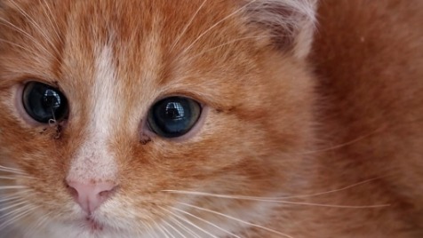 Zdjęcie aktualizacji 180 527