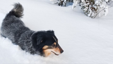 Zdjęcie aktualizacji 180 534