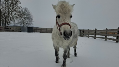 Zdjęcie aktualizacji 180 663