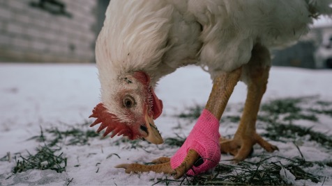 Zdjęcie aktualizacji 180 691