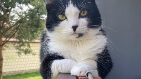 Zdjęcie aktualizacji 180 699