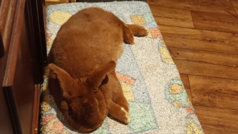 Zdjęcie aktualizacji 180 769