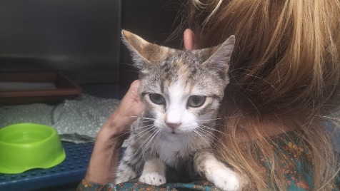 Zdjęcie aktualizacji 180 770