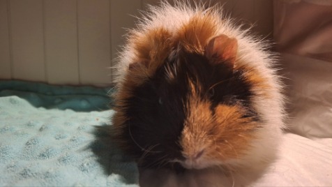 Zdjęcie aktualizacji 180 838