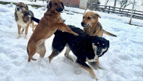 Zdjęcie aktualizacji 180 845