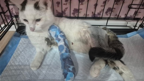 Zdjęcie aktualizacji 180 956