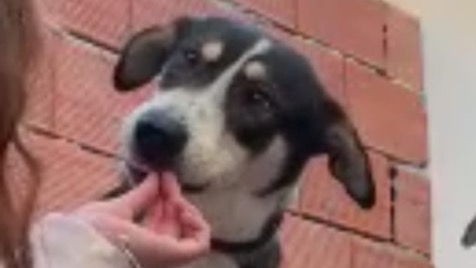 Zdjęcie aktualizacji 180 991