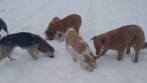 Zdjęcie aktualizacji 180 996