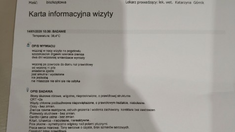 Zdjęcie aktualizacji 181 009