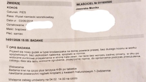 Zdjęcie aktualizacji 181 027