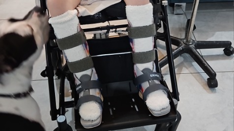 Zdjęcie aktualizacji 181 121