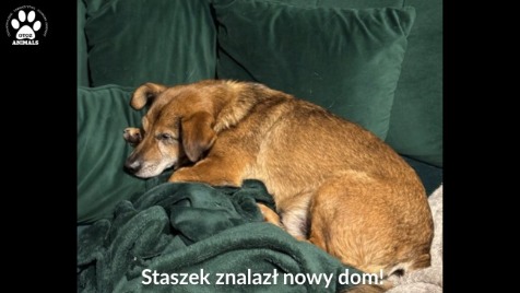 Zdjęcie aktualizacji 181 159