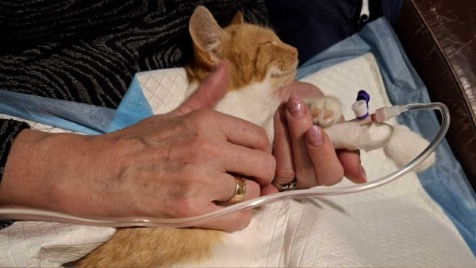 Zdjęcie aktualizacji 181 197