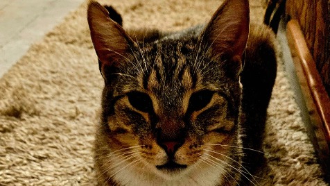 Zdjęcie aktualizacji 181 219