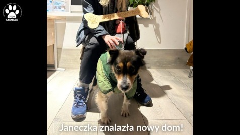 Zdjęcie aktualizacji 181 226