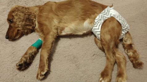 Zdjęcie aktualizacji 181 275