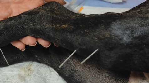 Zdjęcie aktualizacji 181 444