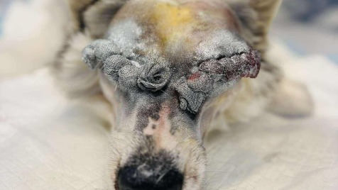 Zdjęcie aktualizacji 181 532