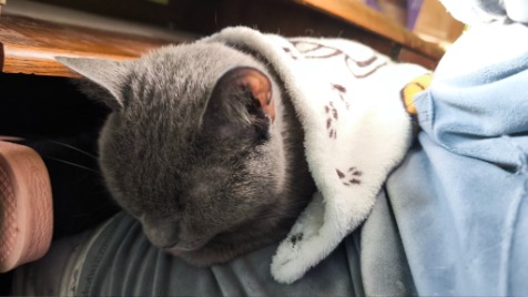 Zdjęcie aktualizacji 181 542