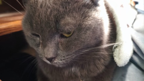 Zdjęcie aktualizacji 181 543