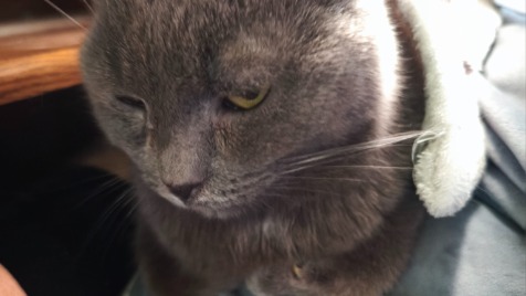 Zdjęcie aktualizacji 181 544