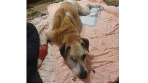 Zdjęcie aktualizacji 181 577