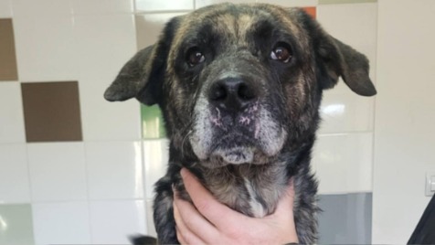 Zdjęcie aktualizacji 181 625